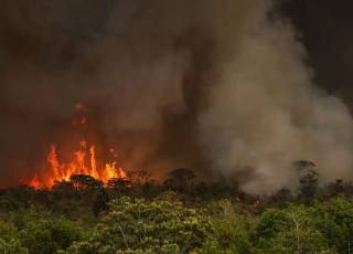 Ato em SP conclama para medidas de mitigação da emergência climática