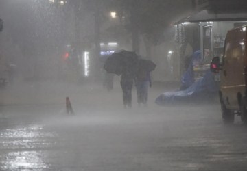 Temporal em SP derruba 158 árvores, mata 1 e deixa 173 mil sem luz