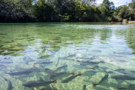 Comissão Europeia anuncia doação de R$ 120 milhões ao Fundo Amazônia