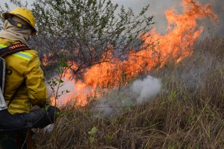 Fogo no pantanal se espalha por fazendas de Corumbá (MS) após acidente de caminhão; veja fotos