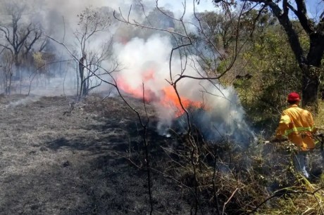 Defesa Civil de SP emite alerta para risco de incêndios florestais