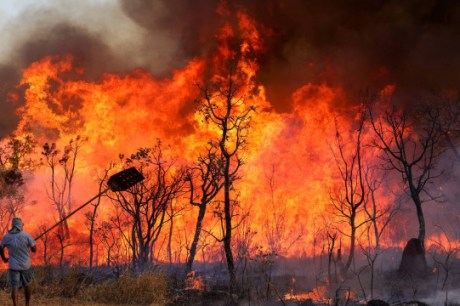 Incêndio atinge Parque Nacional de Brasília, e presidente do ICMBio aponta indícios de crime