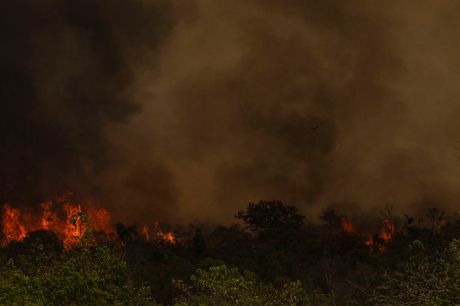 Chuva ajuda a apagar incêndio no Parque da Serra dos Órgãos, no Rio