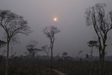 Brasil registra mais focos de incêndio que em todo ano de 2023