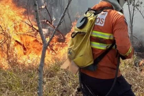 Dois brigadistas morrem durante combate a incêndio no Piauí