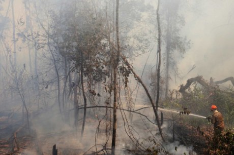 Em Mato Grosso, Corpo de Bombeiros está combatendo 50 incêndios florestais