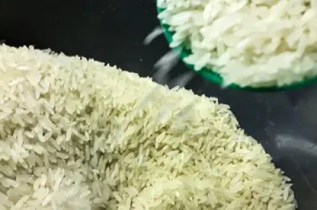 Conab vai doar sementes de arroz para agricultores familiares do RS