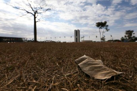 Oito estados e DF têm alerta de grande perigo para baixa umidade