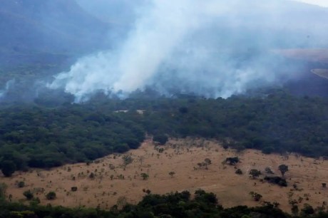 Incêndio queima 10 mil hectares do Parque da Chapada dos Veadeiros