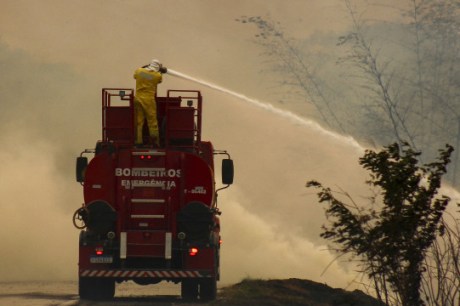 Fogo no estado de SP consumiu até agosto área equivalente a três vezes a capital paulista