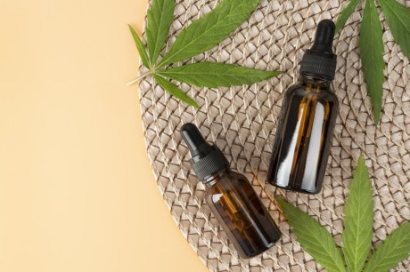 STJ autoriza cultivo de cannabis para fins medicinais