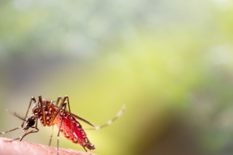 Dia D contra dengue promove ações de conscientização em todo o Brasil