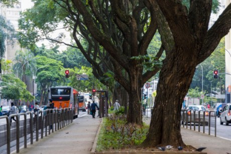 Tarifas de ônibus e metrô de SP sobem nesta segunda (6); veja como fica a integração