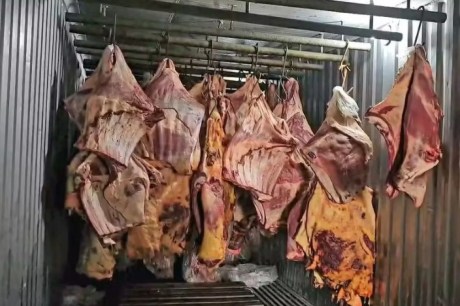 Empresa vendeu 800 toneladas de carne podre submersa na enchente do RS