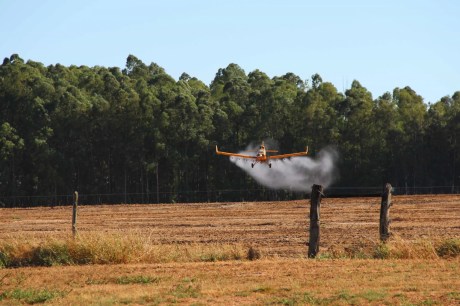 Piloto morre após aeronave de pulverização agrícola cair em MG