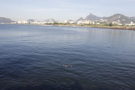 Secretaria identifica navio que derramou óleo na Baía de Guanabara