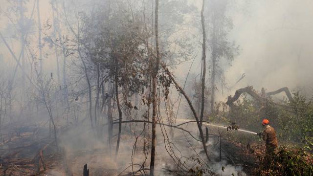 Defesa Civil de SP estende alerta para risco elevado de incêndio até terça