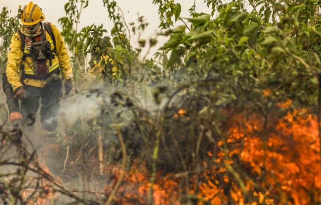 Brasil tem 1 milhão de focos de queimada registrados em 5 anos